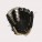 Softball Glove