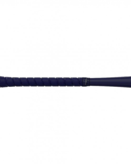 Easton Hype BBCOR Baseball Bat: BB22HYP